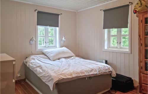 格里姆斯塔Cozy Home In Grimstad With House Sea View的一间卧室设有一张床和两个窗户。