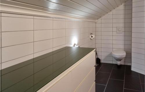 格里姆斯塔Cozy Home In Grimstad With House Sea View的一间带卫生间和水槽的浴室