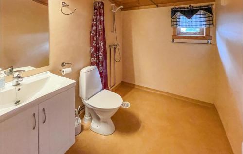 SvullryaGorgeous Home In Grue Finnskog With House A Panoramic View的一间带卫生间、水槽和窗户的浴室
