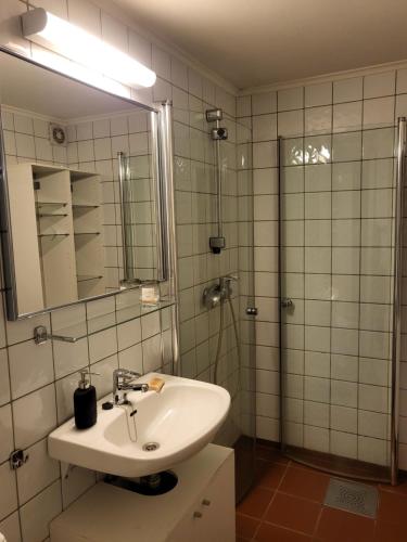 奥斯陆TT Mansion的浴室配有盥洗盆和带镜子的淋浴