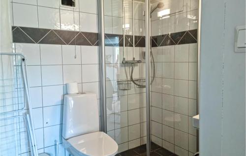 法尔松4 Bedroom Amazing Home In Farsund的一间带卫生间和玻璃淋浴间的浴室