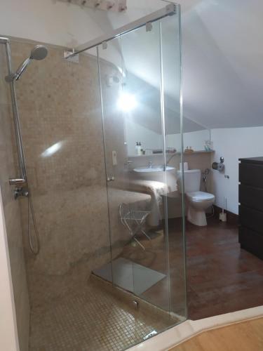 埃希哈Apartamento Centro Écija的带淋浴、水槽和卫生间的浴室