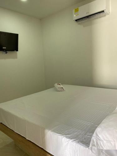 BaranoaMOTEL SANTORINI的带电视的客房内的一张白色床