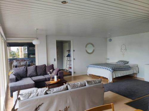 图尔库Cottage by the sea的客厅配有沙发和1张床