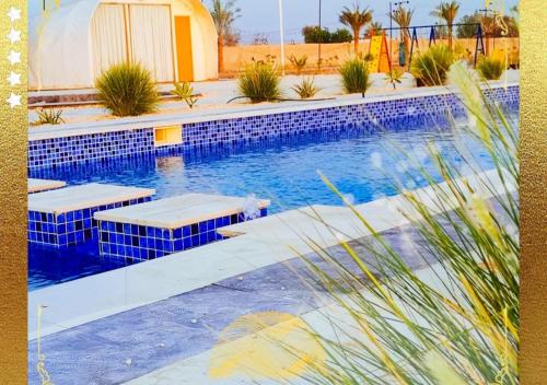 拉斯阿尔卡麦Desert Breeze Cocoon的一座拥有蓝色瓷砖和植物的游泳池