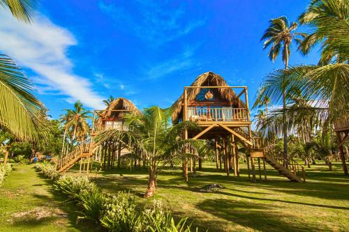 穆库拉岛Hotel Isla Mucura的一个带滑梯树屋的度假村