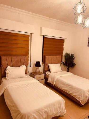 亚喀巴Lovely 3 bedrooms rental unit的一间卧室配有两张床和吊灯。