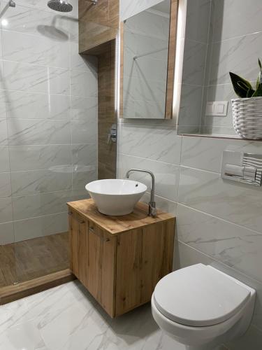 特尔古穆列什Best View Terrace的浴室配有白色水槽和卫生间。