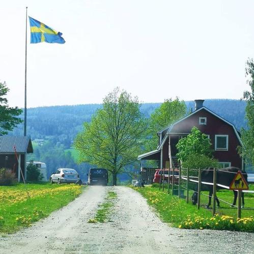 IndalLitet hus på gård med utsikt över indalsälven的一条带旗帜的房子旁边的土路