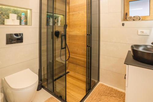 SoboliThe Magic Forest - Holiday Home & Spa Zone Platak的带淋浴的浴室(带卫生间和水槽)