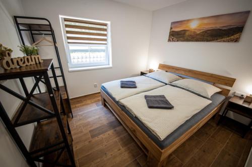 霍尼普拉纳Apartmán na Žlábku的一间卧室设有一张带梯子和窗户的床