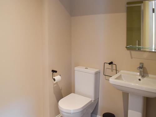 阿伯福伊尔Faodail-uk34218的浴室配有白色卫生间和盥洗盆。