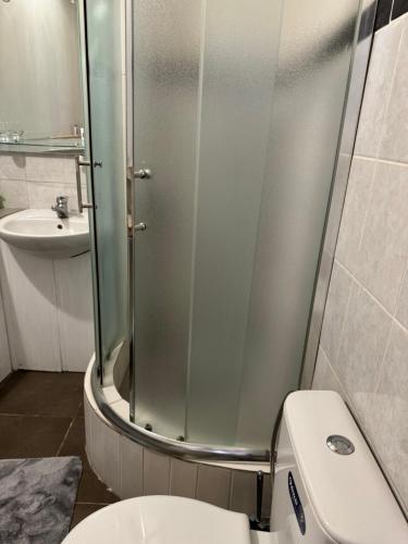 波德戈里察Apartments Airport Golubovci 2的带淋浴、卫生间和盥洗盆的浴室