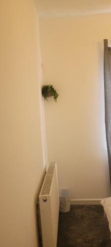 曼彻斯特21 Decent Homes的一间带卫生间的浴室和墙上的植物