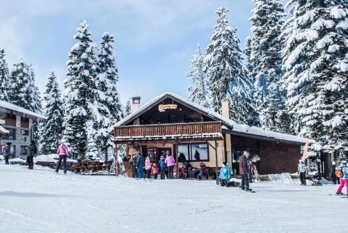 波罗维茨Alpine ski chalet Borovets with sauna的一群人站在一座建筑物外的雪中