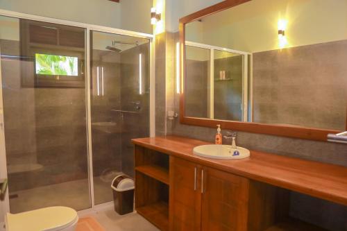 希克杜沃IBSON Villa - 02 Hikkaduwa with 4 Bedrooms & Salt Water Swimming Pool的一间带水槽和淋浴的浴室