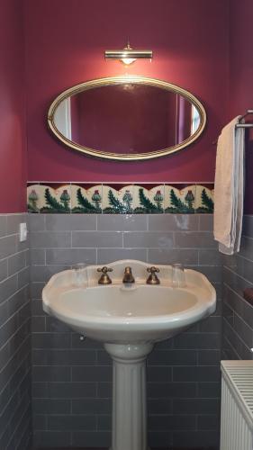 德恩巴赫Villa Franzen的一间带水槽和镜子的浴室