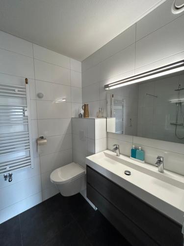 吕伐登Apartment with city skyline的一间带水槽、卫生间和镜子的浴室