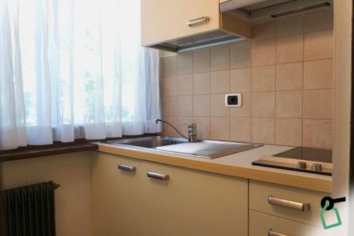 摩德纳迪-坎皮格里奥HOTIDAY Residence Campiglio的厨房设有水槽和窗户。