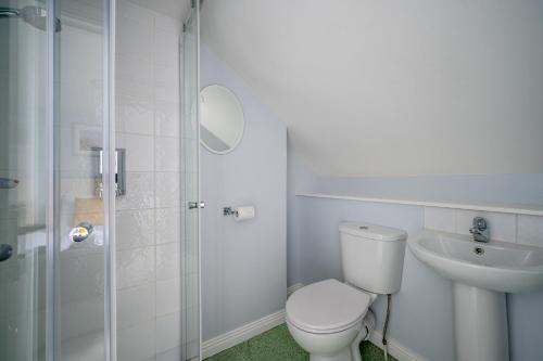 伦敦德里张伯伦之家酒店的浴室配有卫生间、盥洗盆和淋浴。