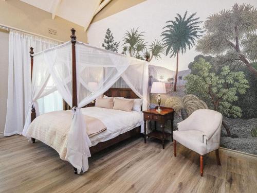 KingsmeadThe Peech Boutique Hotel Zimbabwe的一间卧室配有一张天蓬床和一把椅子