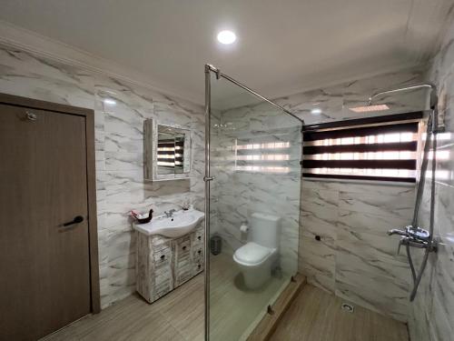 阿布贾UrbaN RootZ的带淋浴、盥洗盆和卫生间的浴室