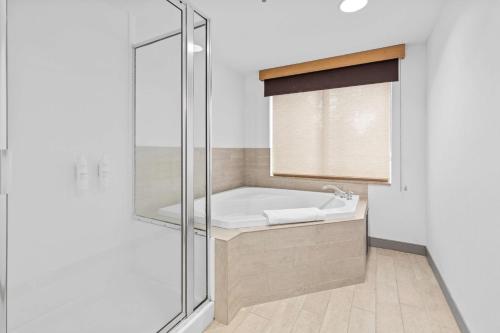 东叙拉古雪城希尔顿花园酒店的带浴缸和玻璃淋浴间的浴室。