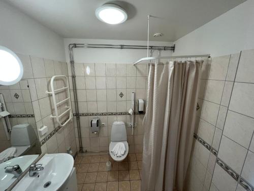 乌洛夫斯特伦Hotel Fritza - tidigare "Hotel Fritzatorpet"的浴室配有卫生间、盥洗盆和淋浴。