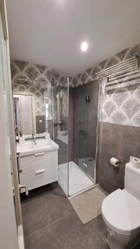 塞维利亚DreamsApt San Eloy的带淋浴、卫生间和盥洗盆的浴室