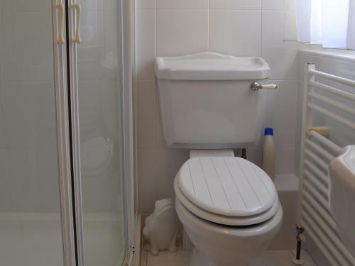 雅克萨穆古宅小木屋的浴室配有白色卫生间和淋浴。