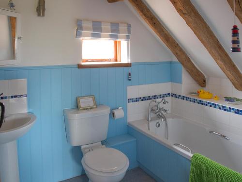 WalpoleHenrys Barn - Ukc3168的蓝色的浴室设有卫生间和水槽