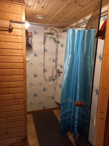 克拉斯拉瓦Holiday home Tūjas的一间带蓝色淋浴帘的淋浴的浴室