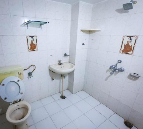 乌代浦Nomadic Hostel的一间带卫生间和水槽的浴室