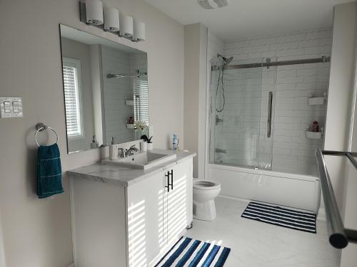渥太华Dorothy's Deluxe room的一间带水槽、卫生间和镜子的浴室