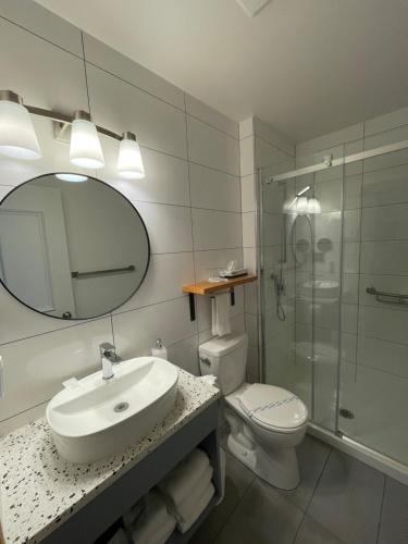圣弗拉维Auberge Marcel Gagnon的一间带水槽、卫生间和镜子的浴室