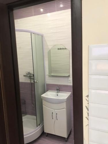 乌曼岛Хостел Мрія的一间带水槽、淋浴和镜子的浴室
