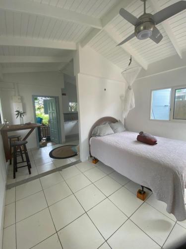 格兰德凯斯Akunamatata Guest House Grand Case的一间卧室配有一张带吊扇的床