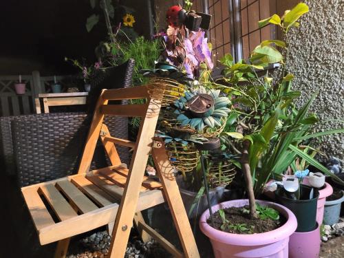 Leverstock GreenChocolates&Flowers的木椅,坐在盆栽旁边