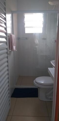 坎皮纳斯Quarto aconchegante Barão Geraldo的带淋浴、卫生间和盥洗盆的浴室