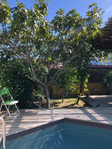 滨海阿热莱斯La Casa Del Racou的后院设有游泳池和树