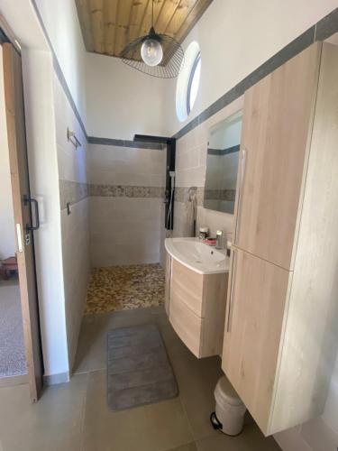 勒唐蓬LE BOURBON POINTU的一间带水槽和镜子的浴室