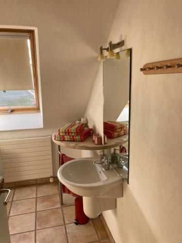 比林根PAULIS Vakantiehuis的一间带水槽和镜子的浴室