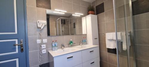 图利亚拉Flamingo résidence的浴室配有盥洗盆和带镜子的淋浴
