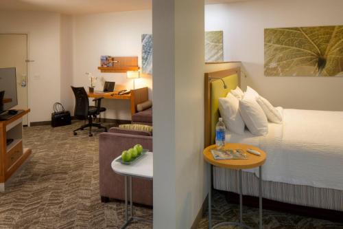 安克雷奇安克雷奇大学湖春季山丘套房 的酒店客房设有床和客厅。