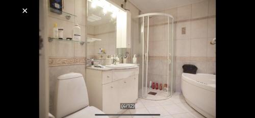 奥塔B&B i flott utsiktseiendom Otta的浴室配有卫生间、盥洗盆和淋浴。