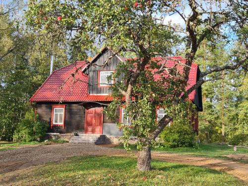 KaplavaZirgu sēta "Klajumi" - Horse ranch "Klajumi"的一座红色屋顶的房子和一棵树