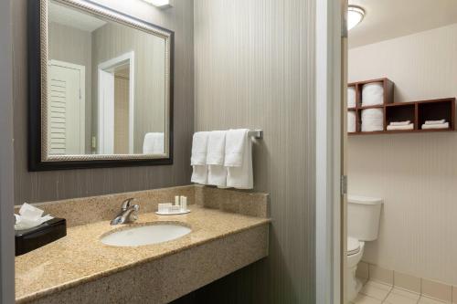 亚特兰大亚特兰大温蒂山/波尔公园万怡酒店的一间带水槽、镜子和卫生间的浴室
