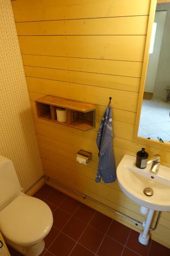 MörarpAttic apartment on countryside的一间带水槽、卫生间和镜子的浴室