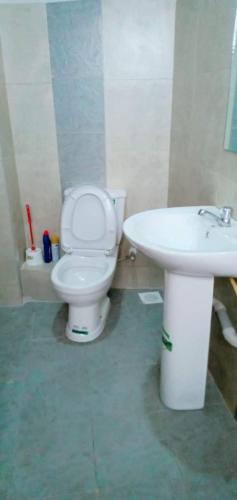 纳库鲁GOLDEN PALM 3的浴室配有白色卫生间和盥洗盆。