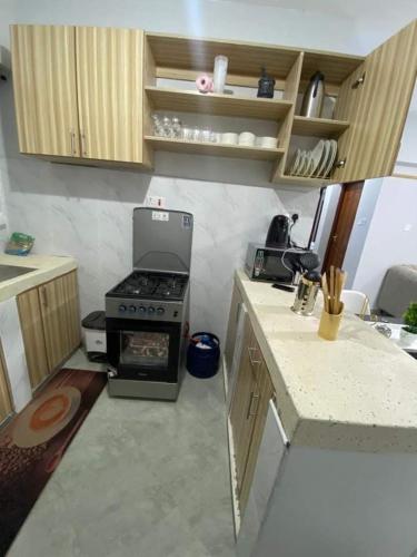纳库鲁GOLDEN PALM 3的小厨房配有炉灶和台面